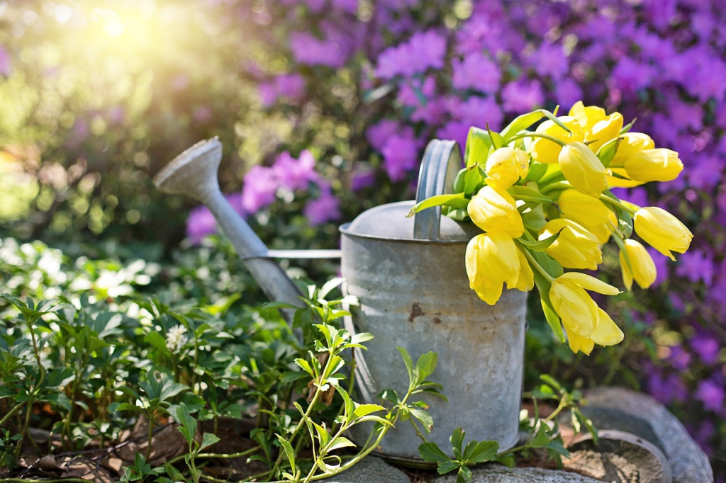 watering-can-g7eebd11ec_1280.jpg