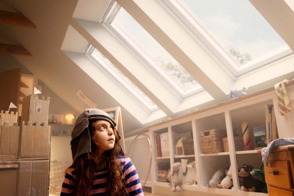 velux1.jpg