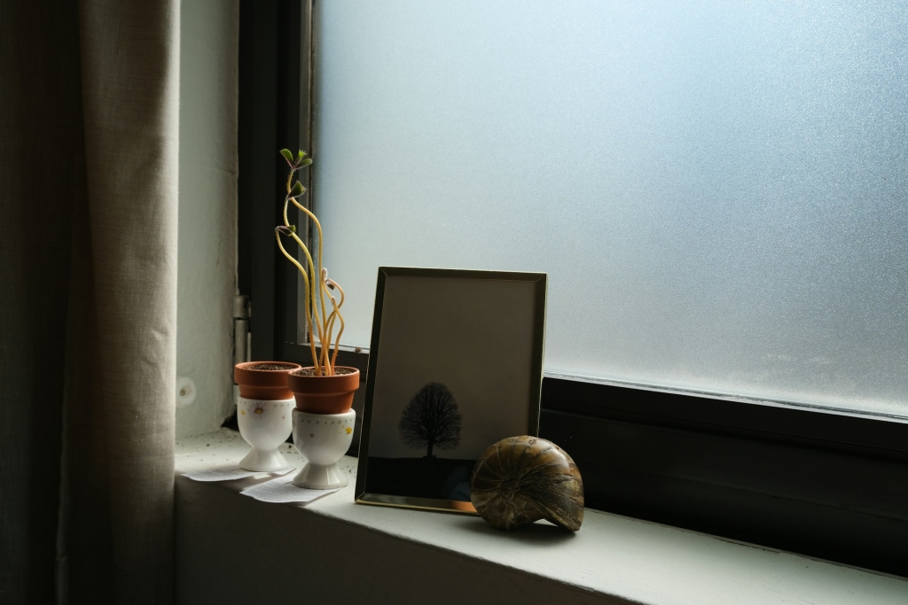 simona-takareviciute-VMRapHqFBZg-unsplash.jpg