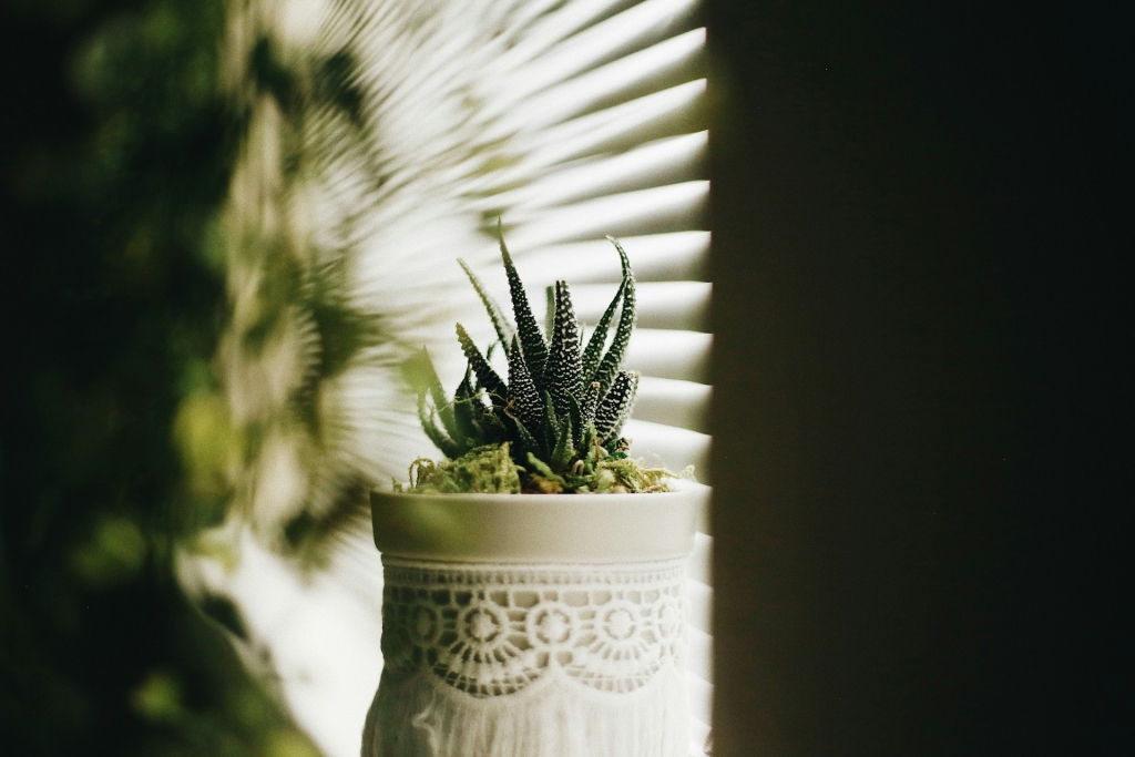 fallon-michael-dK-AXjjuKp0-unsplash.jpg