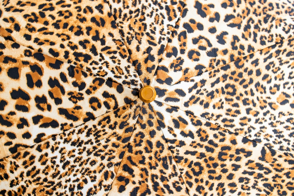 james-trenda-S-JEOfIo_eE-unsplash.jpg