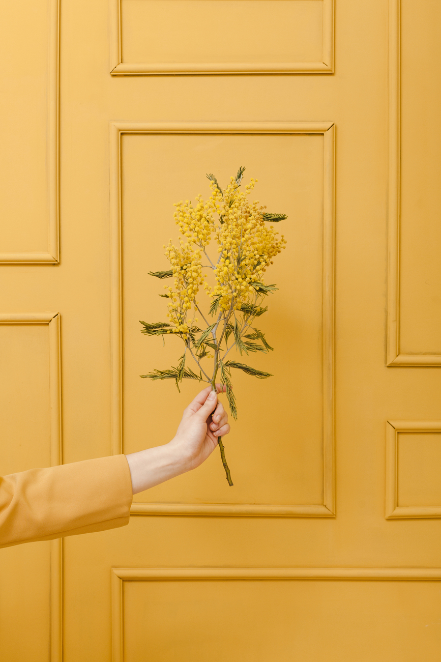 hand-with-floral-branches.jpg