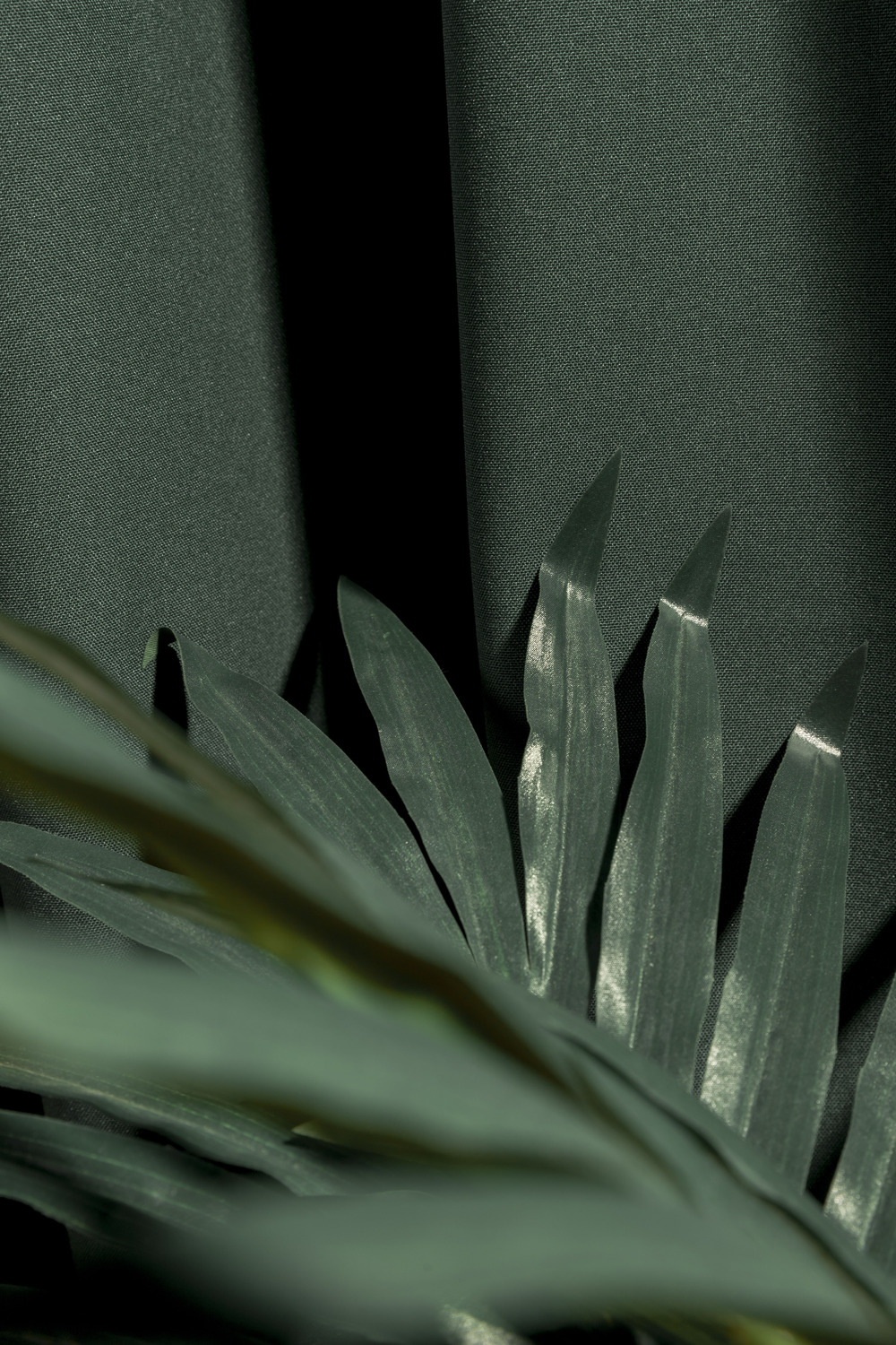 close-up-green-tropical-plant (1).jpg