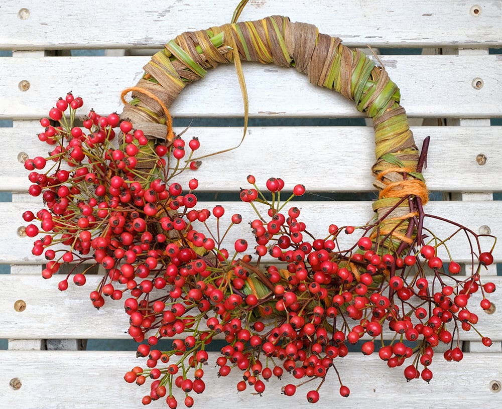 rose-hip-wreath.jpg