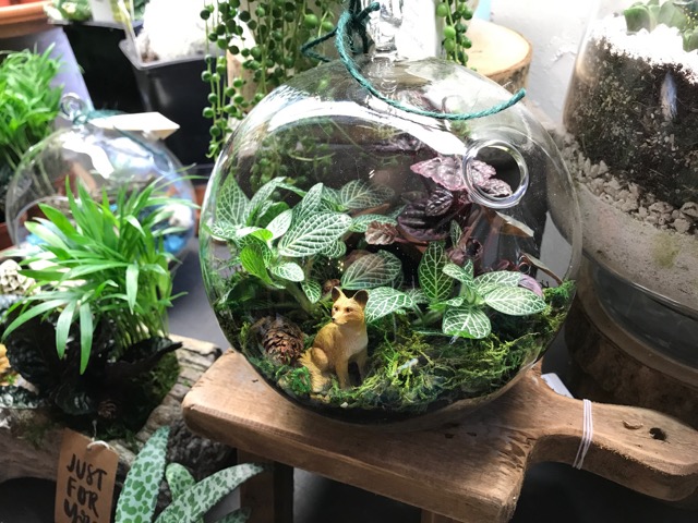 GlassTerrariumwithFoxandHouseplants-lg.jpeg
