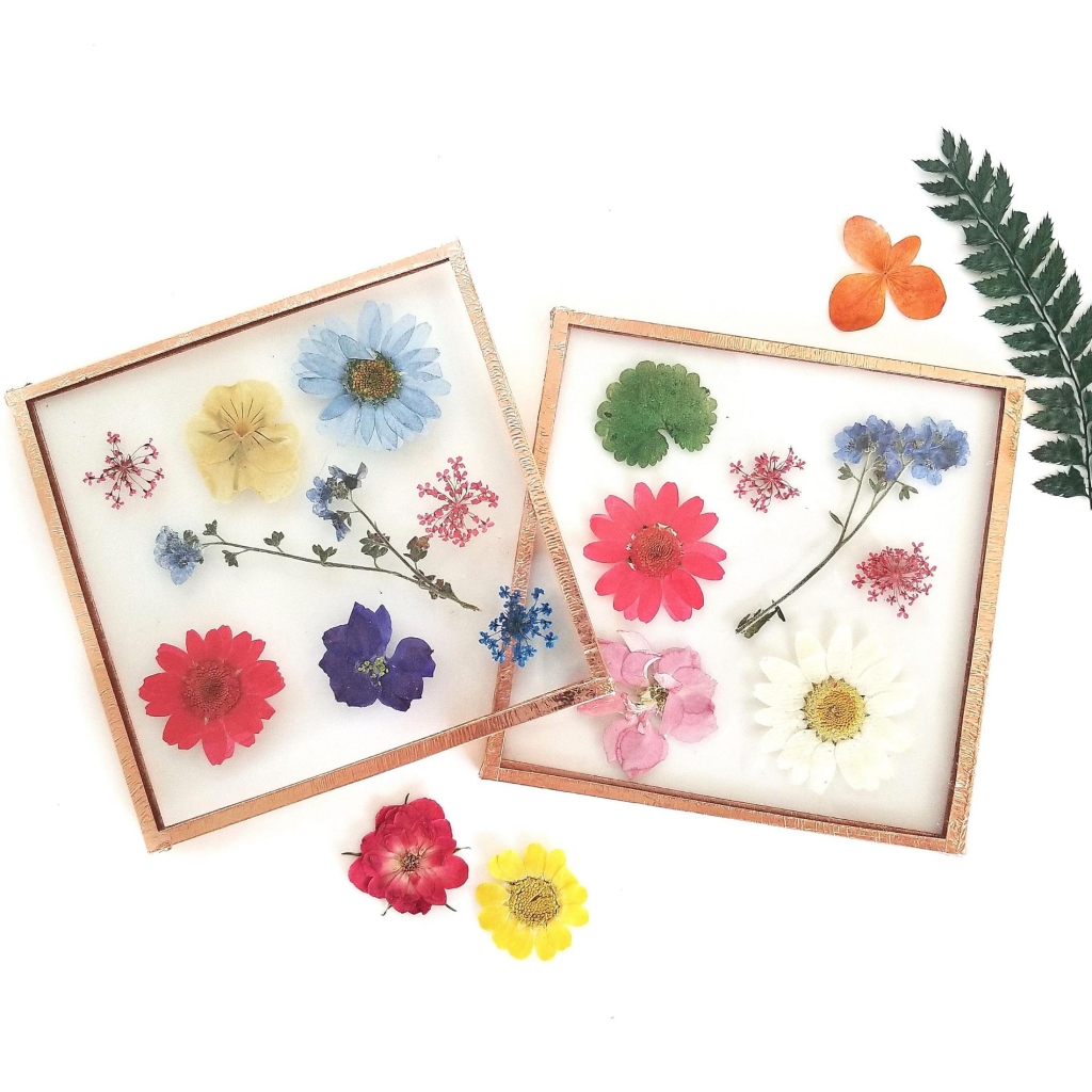 pressedflowercoasters_more_2200x.jpg