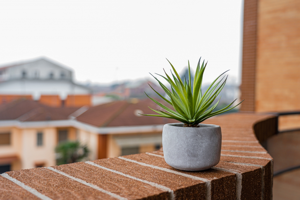 green-plant-in-gray-pot-on-brown-brick-surface-3722570.jpg