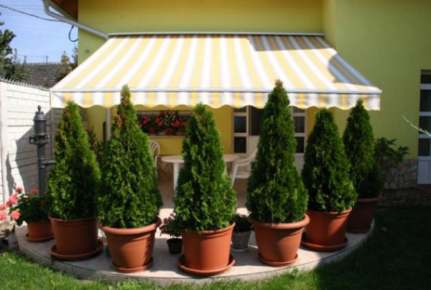 Mivel tuningolhatjuk fel a napellenzőt?