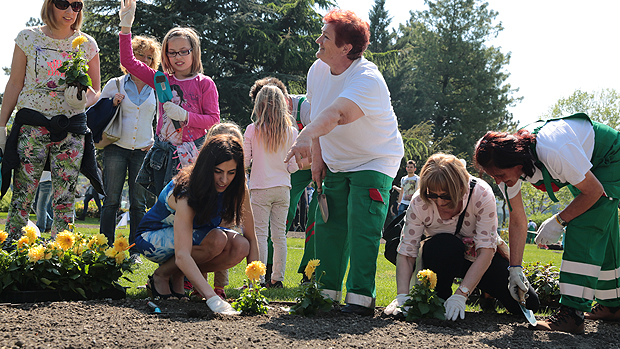 Megdőlt a virágültetési Guinness-rekord