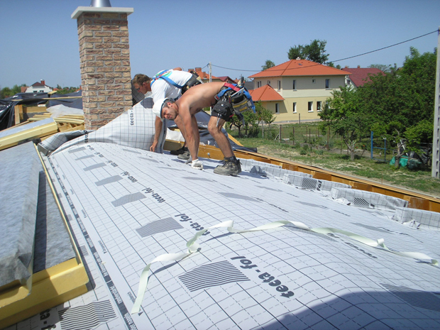 Mikor néztél utoljára a cserép alá?