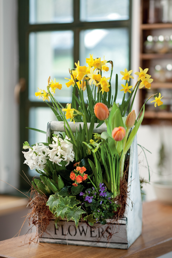 Megidézett tavasz Megidézett tavasz