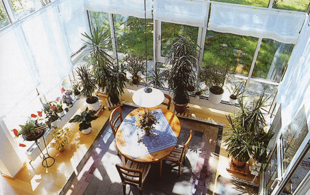 Télikert, a házi oázis Télikert, a házi oázis