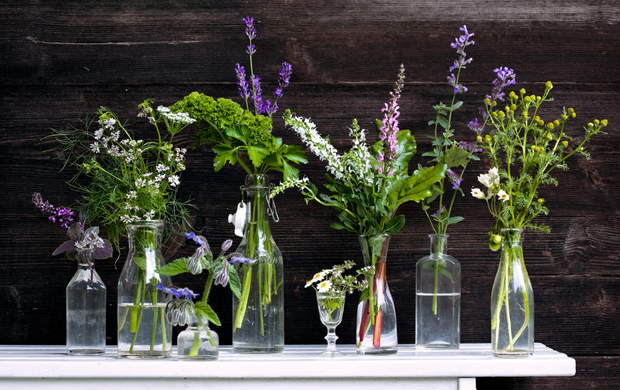 Konyhakerti virágok