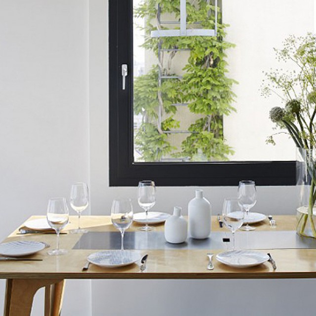 Francia design tányérokat az asztalra