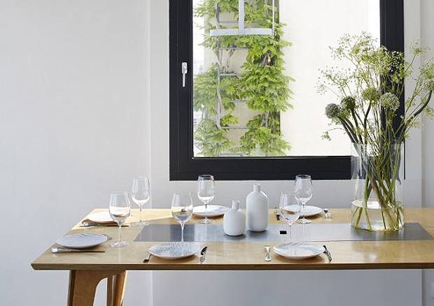 Francia design tányérokat az asztalra