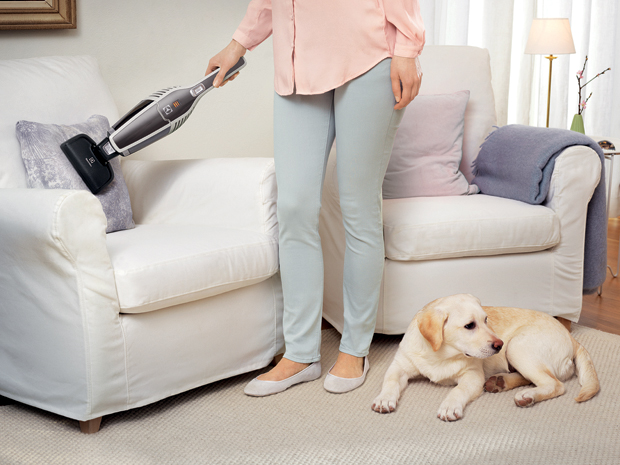 Porszívó gazdiknak Porszívó gazdiknak