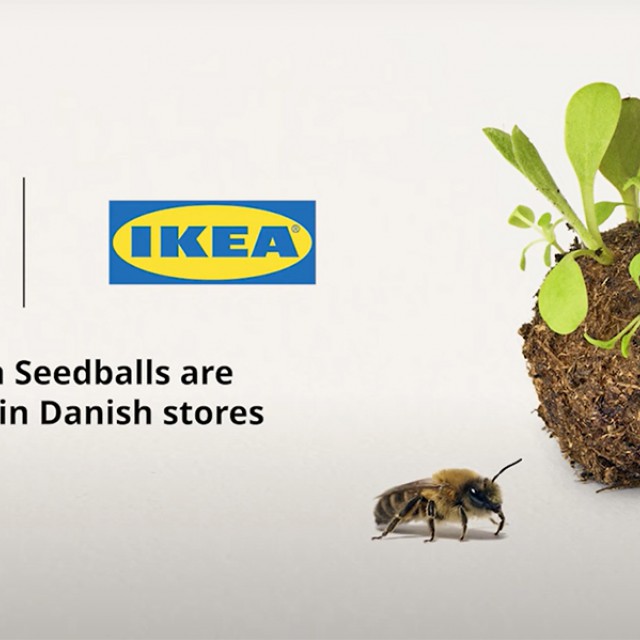 Rovaroknak készült „húsgolyók” az IKEA-tól