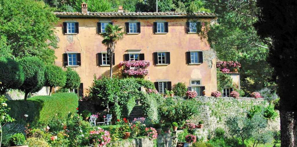 Under the Olive Trees