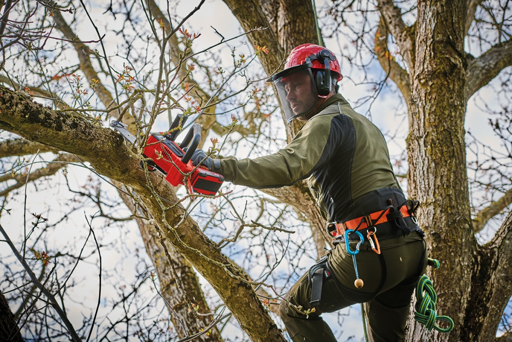 Nagy teljesítményű és sokoldalú készülékek: famegmunkálás az Einhell új akkumulátoros láncfűrészeivel Nagy teljesítményű és sokoldalú készülékek: famegmunkálás az Einhell új akkumulátoros láncfűrészeivel