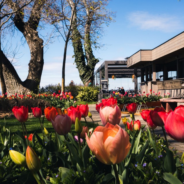 Panorámás Balaton-parti álomhelyszín esküvőre vagy céges összejövetelekre