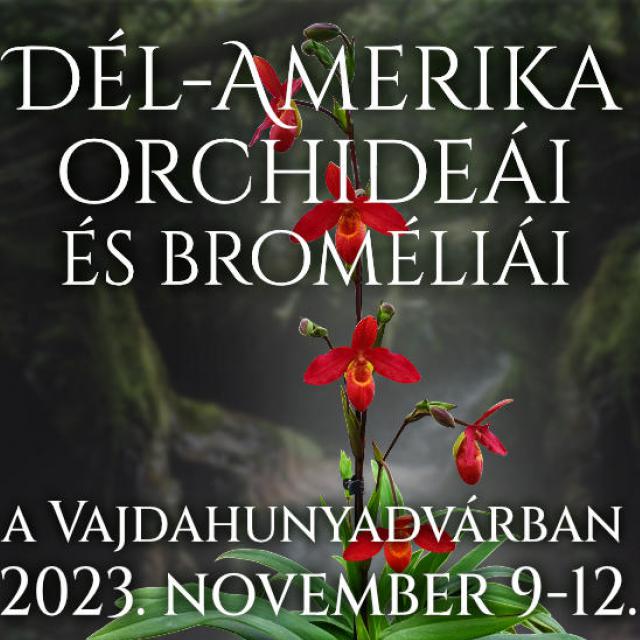 Dél-Amerika orchideái és broméliái a Vajdahunyadvárban