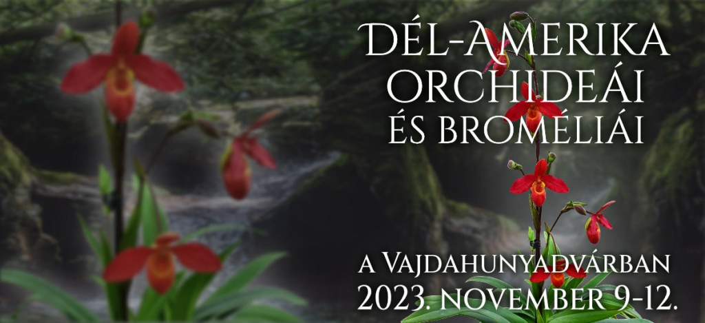Dél-Amerika orchideái és broméliái a Vajdahunyadvárban