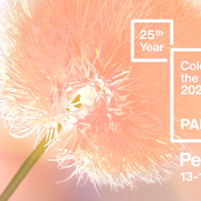 Ismerd meg a 2024-es év színét a Pantone-tól