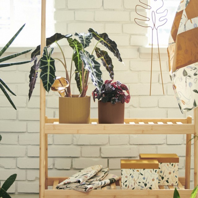 Tavaszi kertészkedésre buzdít új kollekciójával az IKEA
