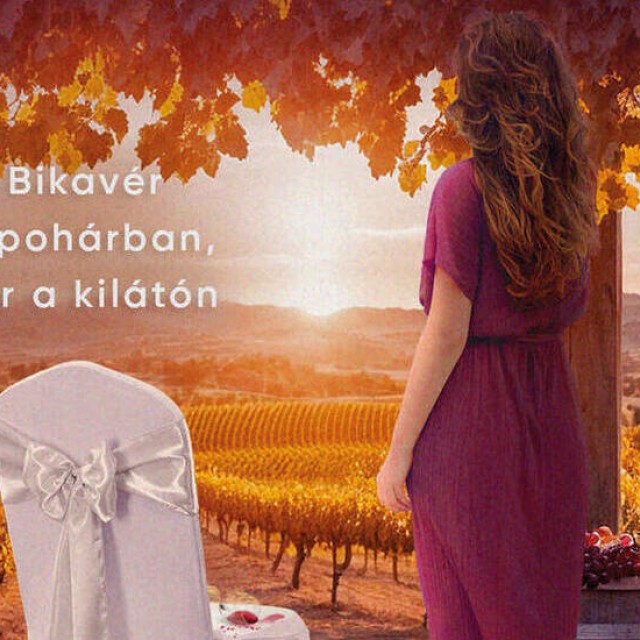 Imádsz krimit olvasni? Megjelent Patkó Ágnes Szekszárdi vörös könyvsorozatának 3. része!