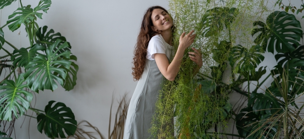 Elkezdődött a Mérleg időszaka: 5 szobanövény, ami illik ehhez a csillagjegyhez