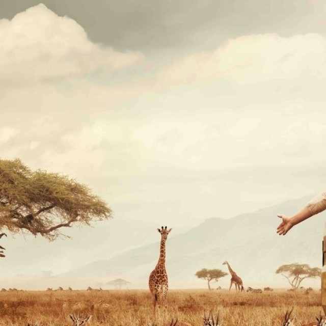 Közvetlen charterjárat Kenyába: az IBUSZ valóra váltja Afrikával kapcsolatos terveidet!