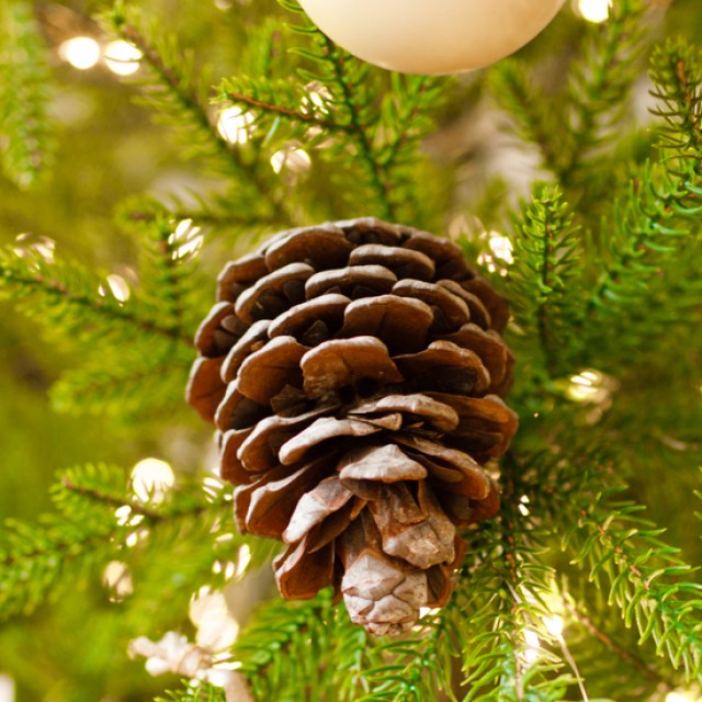 4 tipp, amelyek segítségével a műfenyőd is úgy illatozhat, akár egy igazi fenyőfa!