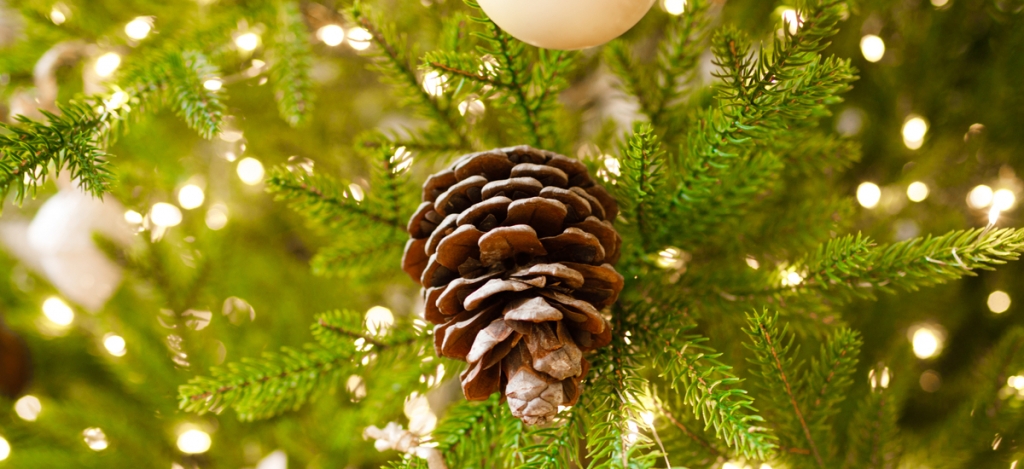 4 tipp, amelyek segítségével a műfenyőd is úgy illatozhat, akár egy igazi fenyőfa!