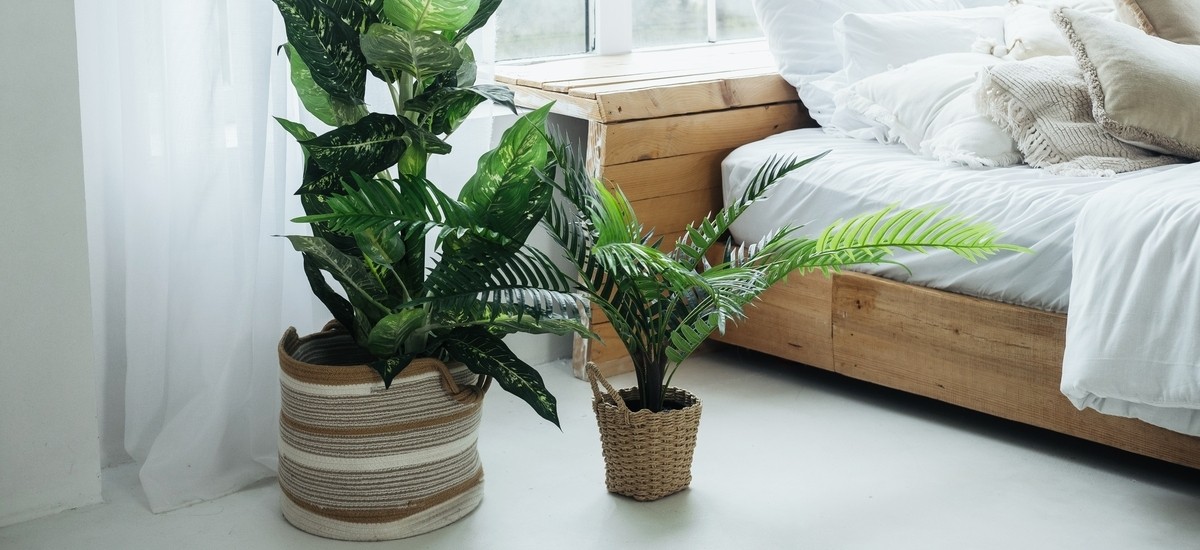 Fókuszban a zöld: a szobanövény minimalizmus egy olyan trend, amit érdemes kipróbálni