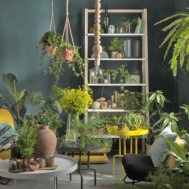 Urban gardening: kertészkedj a város közepén