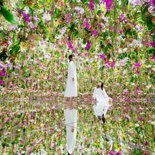 Mesebeli kert, ahol fentről csüngő orchideák között sétálhatsz