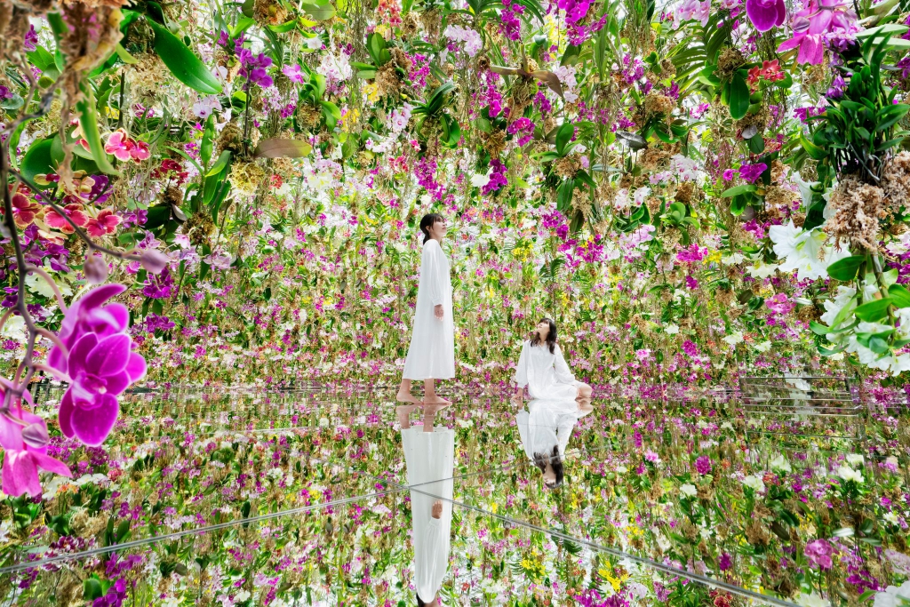 Mesebeli kert, ahol fentről csüngő orchideák között sétálhatsz