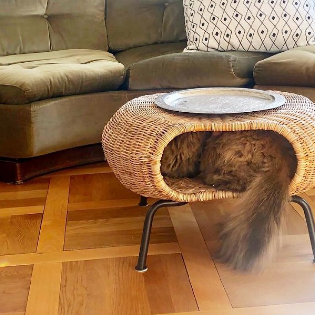 Cicabútorok kreatívan: nyolc zseniális IKEA hack