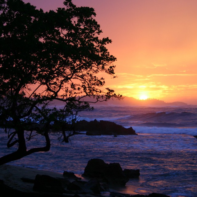 Puerto Ricó-i napfény inspirálta a Pantone új színét